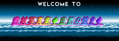 fގʐ^WR